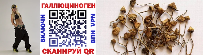 Галлюциногенные грибы ЛСД  Купить где  Октябрьск 